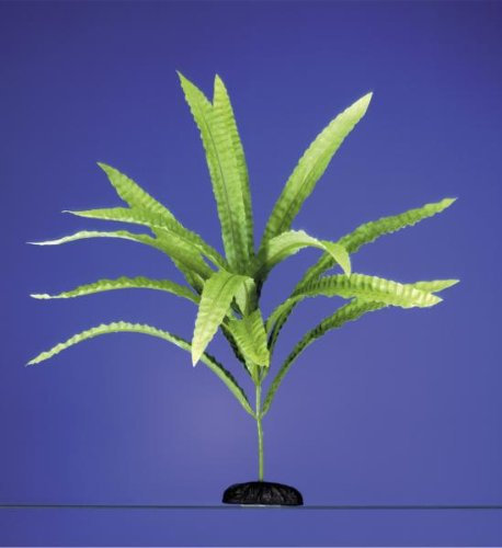 DESDE 1989 CANBANACH Planta para ACUARIOS Seda 25 CM