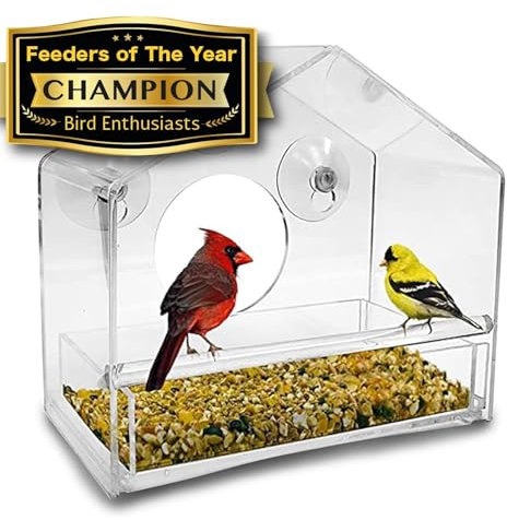 Nature Gear Window Bird Feeder - Refillable Sliding Tray - Weather Proof - Snow and Squirrel Resistant - Drains Rain Water - See Songbirds from Home! (House Style) (House Model)