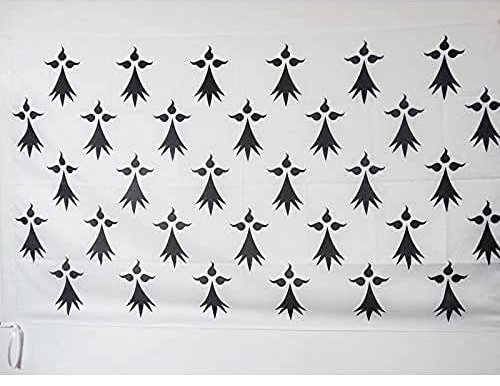 AZ FLAG - Drapeau Province de Bretagne - 90x60 cm - Drapeau Historique Breton 100% Polyester Avec Fourreau et Cordelette - Pavillon 50 g