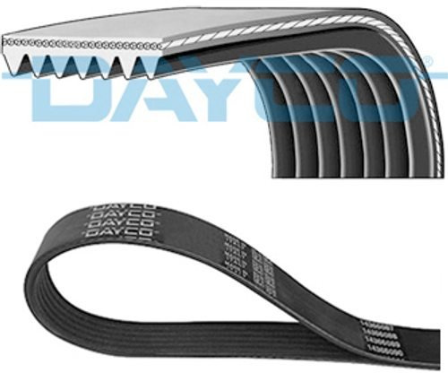 Dayco 7PK1440 Keilrippenriemen