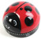 Kikkerland Ladybug Kitchen Timer Rot mit Schwarz