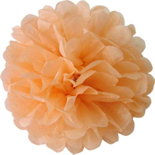 Creativery 1 Papier Pompon 25cm (apricot 714) // Pompoms Bommel Papier Kugel Seidenpapier Pom Pom Deko Hängedeko Raumdeko Blumen