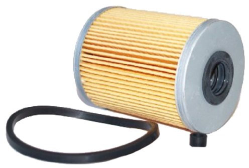 Ashika 30-ECO015 Kraftstofffilter