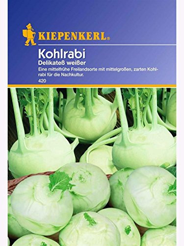 Kohlrabi Delikatess weisser