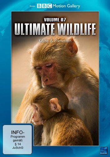 BBC Motion Gallery: Ultimate Wildlife Vol. 7: Kälte & Primaten