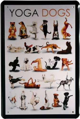 WOGEKA ART Retro Blechschild - Comic Yoga Dogs Hunde - witziger Spruch als Geschenk-Idee zum Geburtstag Weihnachten zur Dekoration 20x30 cm Vintage-Design aus Metall 814