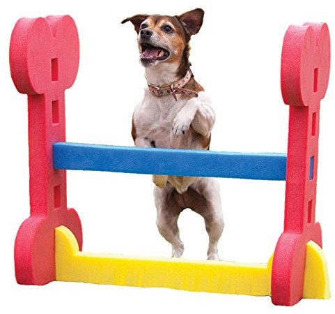 Rosewood Small Dog Agility Hurdle – Adjustable Training Jump Bar for Small to Medium Breeds, Indoor & Outdoor Pet Exercise, Lightweight, Portable Dog Agility Equipment