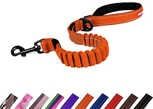 EzyDog Zero Shock Dog Lead | Shock Absorbing, Burnt Orange, 25 Inch