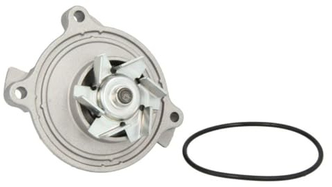 Hepu P616 Wasserpumpe