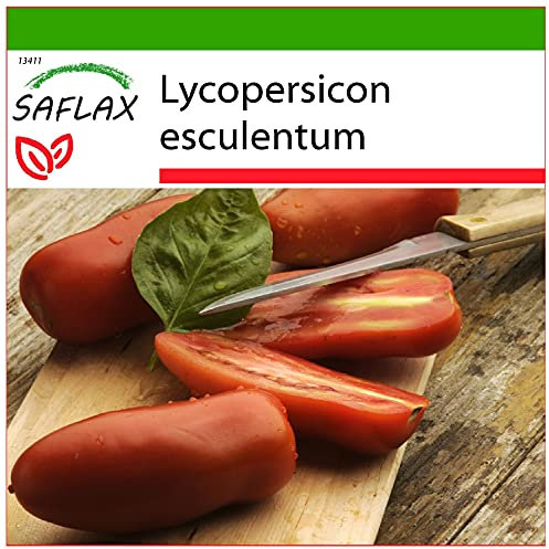 SAFLAX - Tomate - San Marzano - 10 Samen - Mit keimfreiem Anzuchtsubstrat - Lycopersicon esculentum