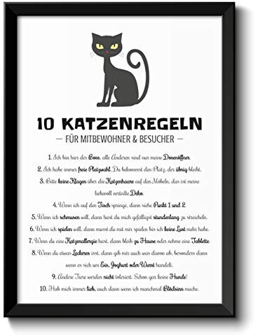 OWLBOOK Lustige Katzenregeln Hausordnung Bild im schwarzem Holz-Rahmen Geschenk Geschenkidee für alle Katzen-Liebhaber