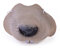 Bristol Novelty MD060D Mouse Nose, Unisex-Adult, Grey, One Size