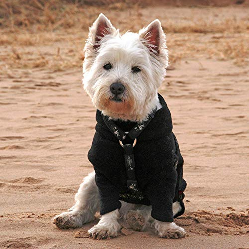 Hotterdog Jumper Extra Small BLACK