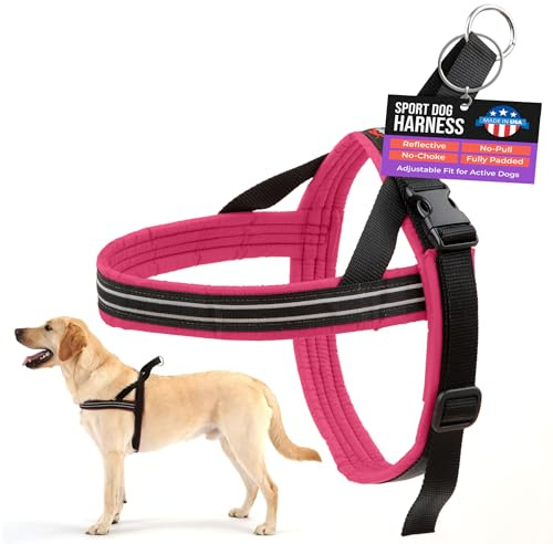 ComfortFlex American Made Quick Fit voll gepolstertes reflektierendes Sport-Hundegeschirr für aktive Hunde, s, Beere