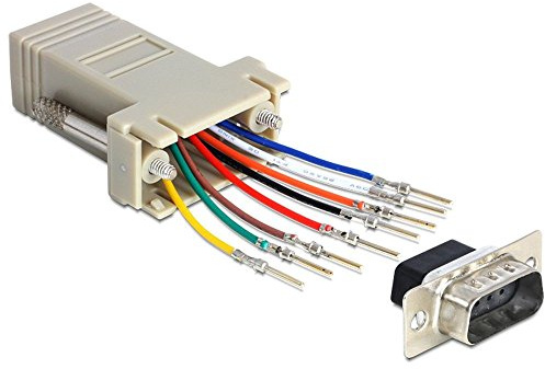 Delock Sub-D 9 Rj45 Grau Kabel-Schnittstelle und Netzteil