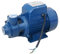 KATSU Bomba de Agua Periférica Centrífuga Eléctrica Industrial 1 HP 220V para Agua Limpia, Adecuada para Granja Jardín Piscina Estanque Tanque 151116