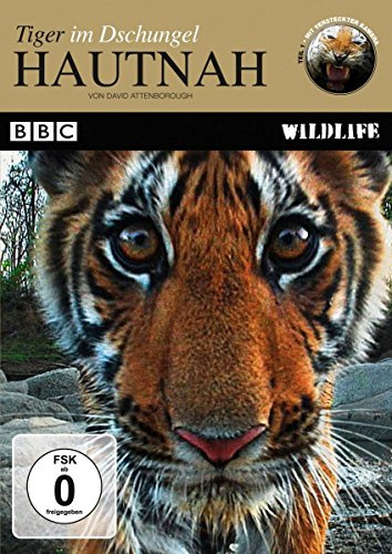 Hautnah - Tiger im Dschungel