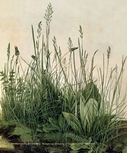 Brillenputztuch Das große Rasenstück