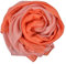 SNUG STAR Baumwolle Seidenschal Elegante Weiche Wraps Farbton Schals für Frauen(Orange)