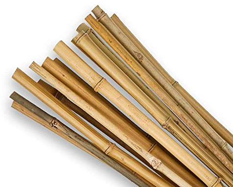 SupaGarden 2ft High Quality Extra Strong Bamboo Garden Canes Stakes Pack of 20
