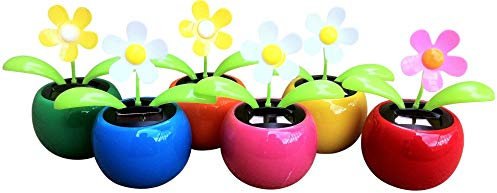 GW Handels UG Solarblume, Wackelblume 4er-Set Verschiedene Motiv Blume mit farbigen Top