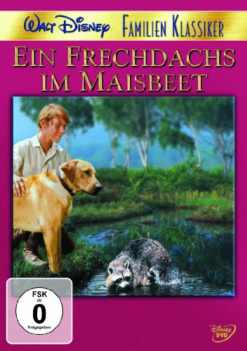 Ein Frechdachs im Maisbeet