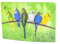Unbekannt 3 D Ansichtskarte Wellensittiche, Postkarte Wackelkarte Hologrammkarte Tier Vogel Sittich