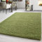 Teppium Moderner Hochflor Teppich Wohnzimmer 120 x 170 cm Grün - Shaggy Flauschiger Teppich, Extra Weich, Pflegeleicht und Einfarbig - für Schlafzimmer, Küche und Esszimmer