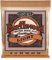 Ernie Ball Earthwood Light - Cuerdas para guitarra acústica, bronce fosforado, calibre 11-52