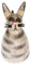 Zaunfigur Zaunhocker Zaun Figur Katze Kater Deko Garten Shabby Vintage Dekofigur