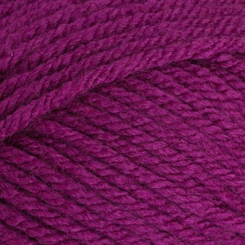 Stylecraft 9061061 Special Chunky Plum (1061) Yarn - 100g