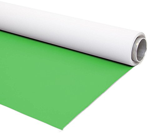 PIXAPRO Dual Sided Vinyl Backdrop Green Screen Photography Shoot Background Self Portrait Studio Filming Photoshoot Lighting Photo Cameras for Beginners Back Drop (2x4m, Green and White)