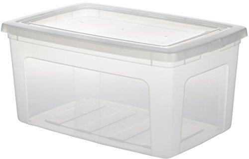 Iris 104016.0 Aufbewahrungsbox mit Deckel, Ordnungssystem 50 L, Stapelbare, Kunststoffbox, transparent