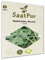 Salatrauke, Rauke, Rucola