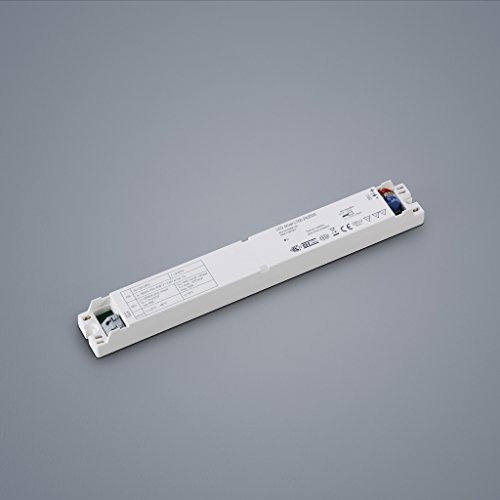 Helestra 60W Betriebsgerät+Dimm-Modul+Wandsender VIGO
