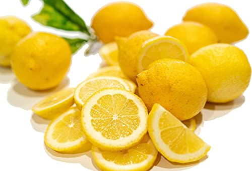 amorebio