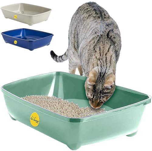 CAT CENTRE Green Jumbo Open Cat Litter Tray 56cm XL Pet Toilet Kitten Easy Clean Plastic Portable Pan Loo Box Rounded Corners - Indoor & Outdoor - Kittens Adult Elderly Cats Trays Easy Access