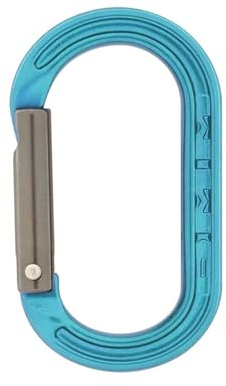 Dmm XSRE Mini Accessory Carabiner, green
