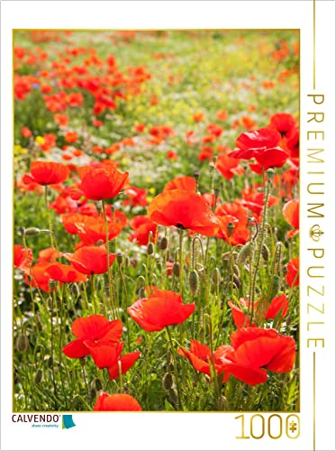 CALVENDO Puzzle Traumhafte Mohnblumen 1000 Teile Puzzle hoch | Lege-Größe cm Foto-Puzzle für glückliche Stunden