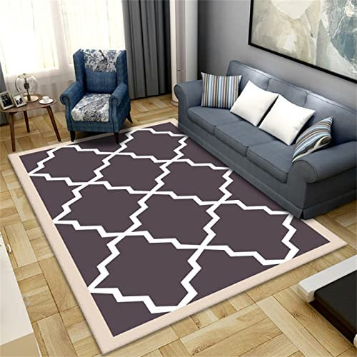 Kunsen Teppich Kinder teppiche Sommerteppich, Lila, Geometrischer Druck, Niedriger Flor, Feuchtigkeitsbeständige Wohnzimmerdekoration Teppich waschbar 120X160CM