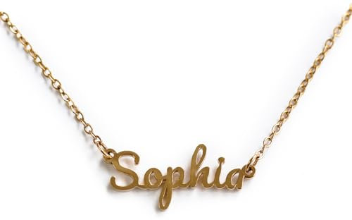 Hairyworm Personalised Necklace with Name and Faux Leather Gift Pouch, Custom 18K Gold Plated Necklace, Sterling Silver Plated, Rose Gold Plated Pendant with Chain 14, 16, 18, 20, 22 inch, Font 1