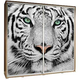 mb-moebel Kleiderschrank Schrank Garderobe Schiebtüren 205 cm Wardrobe Foto Tiger (Wenge)