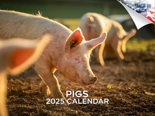 Kalender 2025 2026 Schweine-Kalender – niedlicher Bauernhoftier-Monatswandkalender – 30,5 x 45,7 cm offen – dickes Papier ohne Auslaufen – Geschenk – akademischer Lehrerplaner Kalender Organisieren