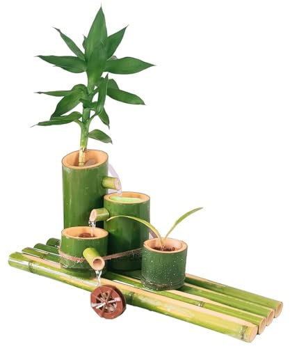 Fuente De Agua De Bambú con Bomba, Kit De Fuente De Bambú, Caño De Fuente De Agua Al Aire Libre, Jardín Zen, Cascada, Feng Shui Hecha A Mano Estanque Zen Al Aire Libre 25cm