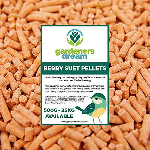 GardenersDream Berry Suet Pellets | Garden Wild Bird Food Mix | Balanced and Healthy Feed Mixture | Nutritious Berry Flavoured Pellet | Contains Tasty High Energy Vitamins and Minerals (25kg)