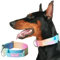 Spark Paws Tactical Dog Collar with Handle - Premium Quality Collar, Robust and Durable Design for Large, Strong Breeds - Pitbulls, Labradors, GSD - Pastel Icing - S