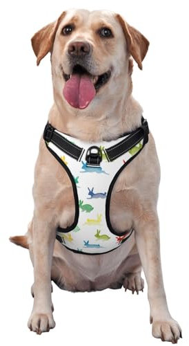 Hundegeschirr mit Regenbogen-Kaninchen-Motiv, mittelgroß, für Outdoor-Reisen, Spaziergänge mit dem Hund
