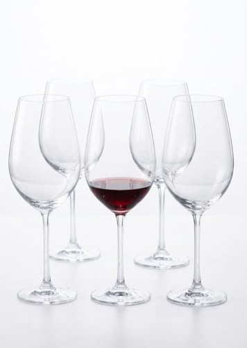 Copa de Vino Vivera 540 ml | Tallo Largo | Altura 24,5 cm | Caja de 6 unidades