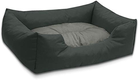 BedDog Hundebett Mimi, Hundesofa aus Cordura, Microfaser-Velours, waschbares Hundebett Vier-eckig mit Rand, Hundekissen für drinnen, draußen, L, grau