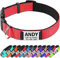 TagME Hundehalsband personalisiert, Reflektierendes gepolstertes Nylon Hundehalsband für mittelgroße Hunde mit Namen und Telefonnummer